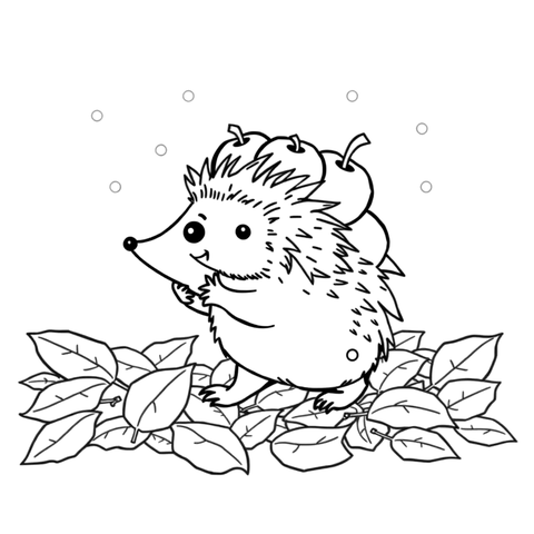 A hedgehog collecting apples, a black and white coloring page