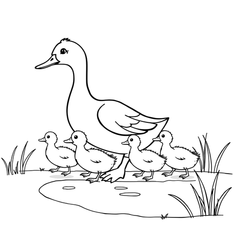 Ducklings in a row, a black and white coloring page